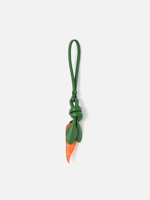The carrot
